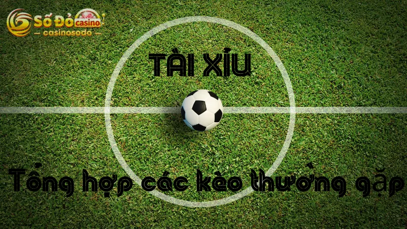 Tổng hợp các loại kèo tài xỉu thường bắt gặp nhất